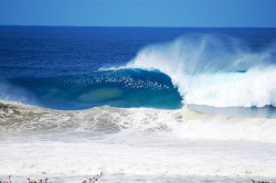 Brown boils on a blue right.